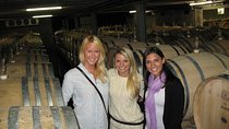 Wineries Honey and Black Sand Beaches from Auckland