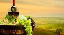DeepWine Half Day 2 Wineries & Lunch or Dinner in Tuscan Hills