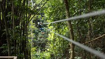 Treetop Canopy Adventure