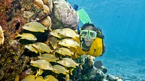 Full-Day Snorkel Extreme Adventure Tour from Riviera Maya