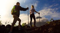 Best of La Fortuna: Hanging Bridges, Waterfall and Arenal Volcano