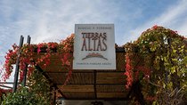 Malbec Experience in Bodega Tierras Altas