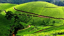 Private 7-Day Kerala Tour with Houseboat Cruise from Delhi with 2-Way Flights