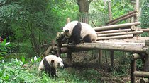 16-Day Private China Essence Tour with Yangtze River Cruise
