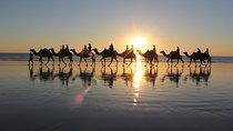  Sunset Camel Riding + barbecue B&B grill with abdo