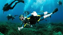 Scuba Diving Baptism and Snorkeling in Ibiza