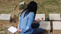 Gallipoli Day Trip from Istanbul with Return Transfer with Lunch Included