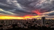 São Paulo Like a Local Customized Private Tour
