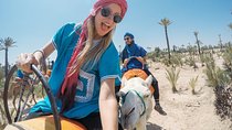 Marrakech Like a Local: Customized Private Tour