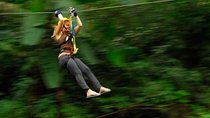 Stand Up Paddle Board or Kayak and Extreme Zipline Adventure from Antigua