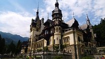 3-Day Trip to Brown Bears, Targoviste, Brasov, Dracula's Castle from Bucharest