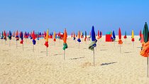 Driver service: Paris to Deauville and Honfleur round trip - 12 hours