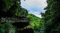 Plog and Hike Mount Mogan Nature Reserve – Guided Outdoor Tour from Hangzhou
