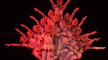 Beijing night tour including Acrobatics show and Peking duck dinner