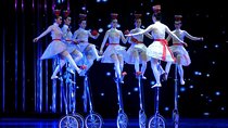 5-Hour Beijing Night Acrobatics And Peking Opera Show Tour