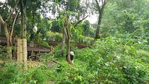 All-Inclusive Chengdu Highlight Panda Trip and Customizable Sites