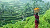 Private Day Ubud Art and Culture Tour