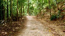 Private Bird watching and Nature trekking in Udawatte Kele Sanctuary