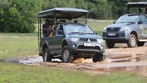 All Inclusive Private day tour to Wipattu National Park From Negombo