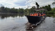 Full Day Klias Mangrove Wildlife and Fireflies with dinner