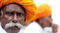 7-Day Private Tour: Delhi, Agra, Jaipur, Jodhpur and Udaipur from Delhi