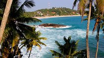 8 Day Private Sri Lanka Tour: Safari, Whale Watching & More