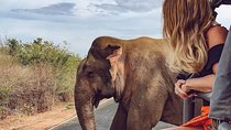 Sri Lanka tour package for 8 days