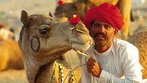 Exclusive: Guided Pushkar Day Trip from Jaipur