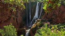 Ouzoud Waterfalls Full-Day Tour from Marrakech