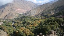 Guided Day Trip to Atlas Mountains from Marrakech