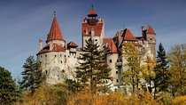 Bran (Dracula) Castle, Bear Sanctuary, Rasnov Fortress & Palinca Distillery