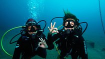 Discover Scuba Diving, free pictures included