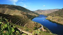 Private Tour: Douro Valley Wine Experience from Porto