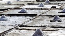 Bilbao: Discover Añana Salt Valley and Vitoria