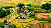From Hanoi: Sapa Real Experience 2-Day 1 Night at Ethnic Homestay