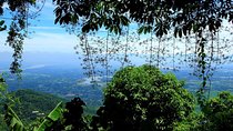 Ba Vi National Park Trekking Discovery day tour with stunning panoramic view