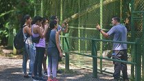 Wildlife Rescue Center Tour in Costa Rica