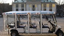 City Tour by electric car- Krakow