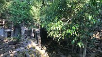 Beng Mealea Private Tour