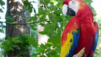 BioParque do Rio Guided Tour with Transfer
