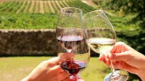 From CapeTown: Stellenbosch Half Day Wine Tour