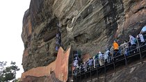 Day Tour to Sigiriya Rock Fortress & Dambulla Rock Cave Temple.