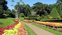 Botanical Garden