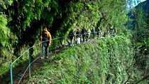 Kings Levada