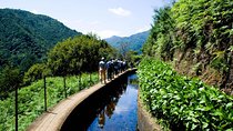 Levada do Norte