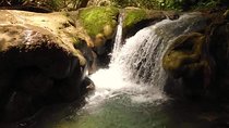 Mayfield Falls nature walk