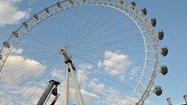 Half-Day Private Chauffeur-Driven Tour of London