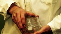 Private Reykjavik Escape Game Experience: The Scientist 1