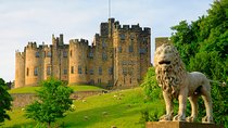 Viking Coast and Alnwick Castle Very Small Group Tour from Edinburgh 