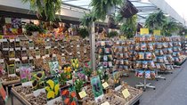 Half-Day Tour of Red Light District and Jordaan District with Private Guide in Amsterdam